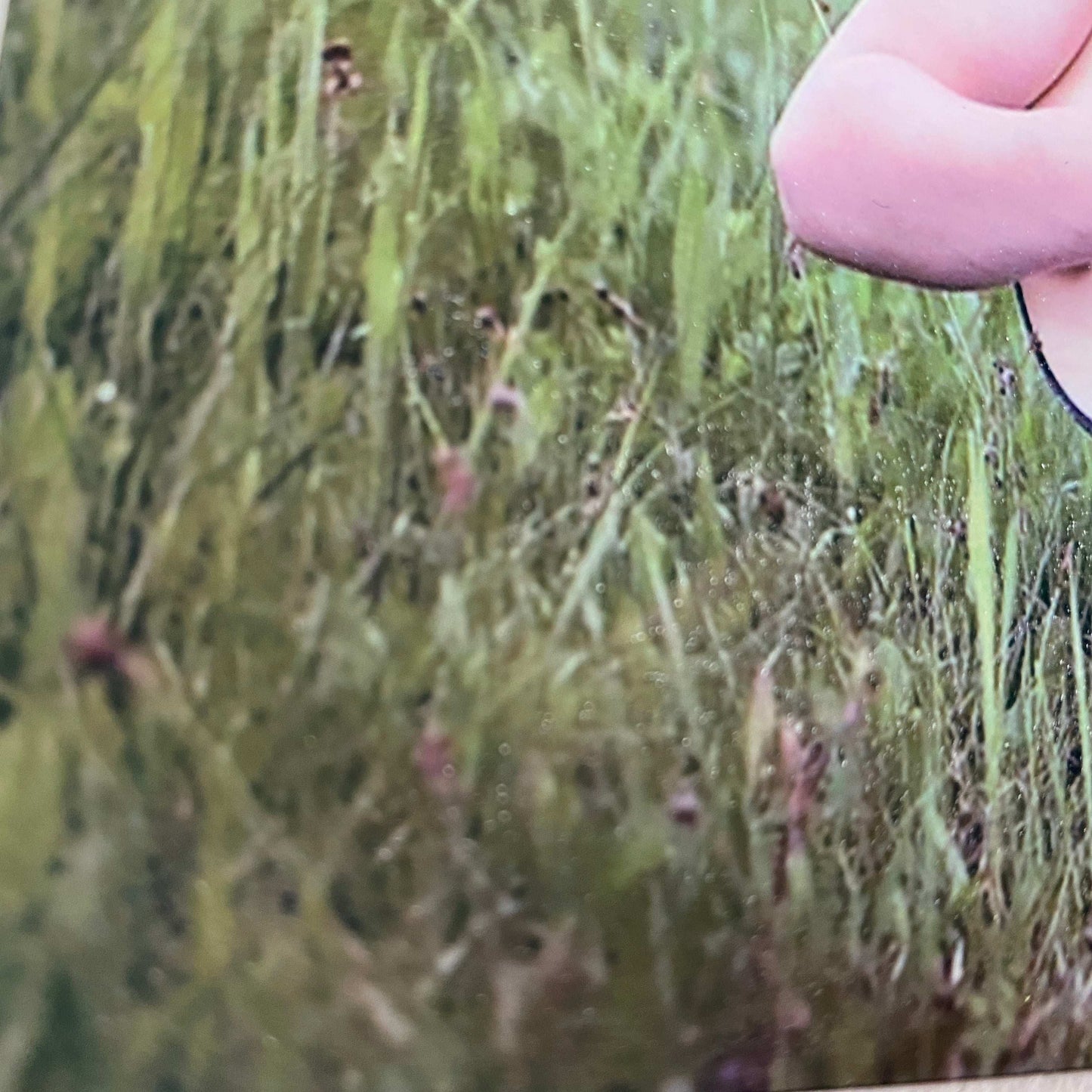 Photo Metal Sign Gloss Finish - shopquality4u