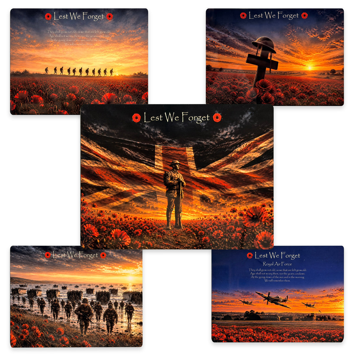 Lest We Forget military poppy aluminium metal signs, real product group photograph with British Soldier D8 central and other remembrance designs.