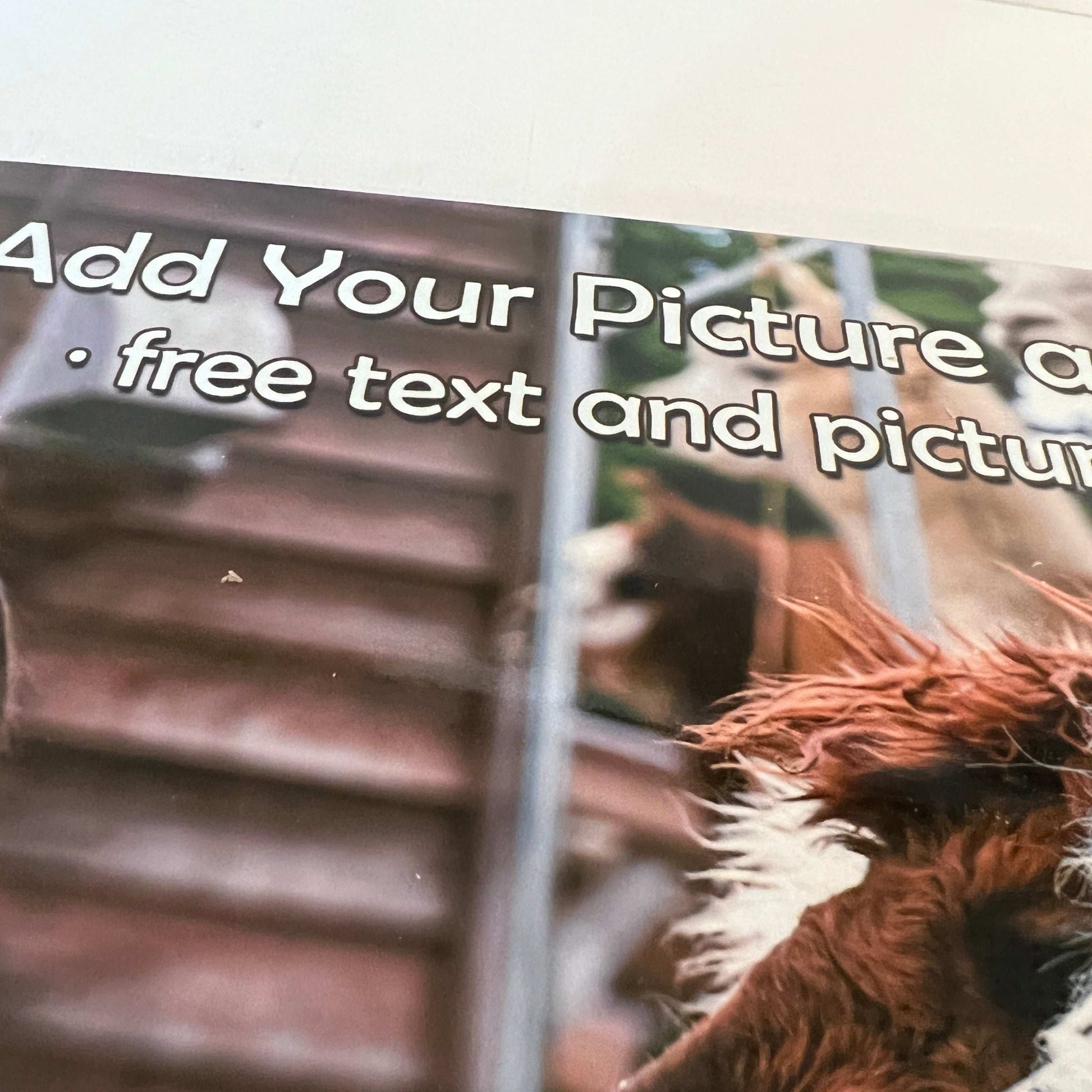Custom Photo Place Mat - shopquality4u