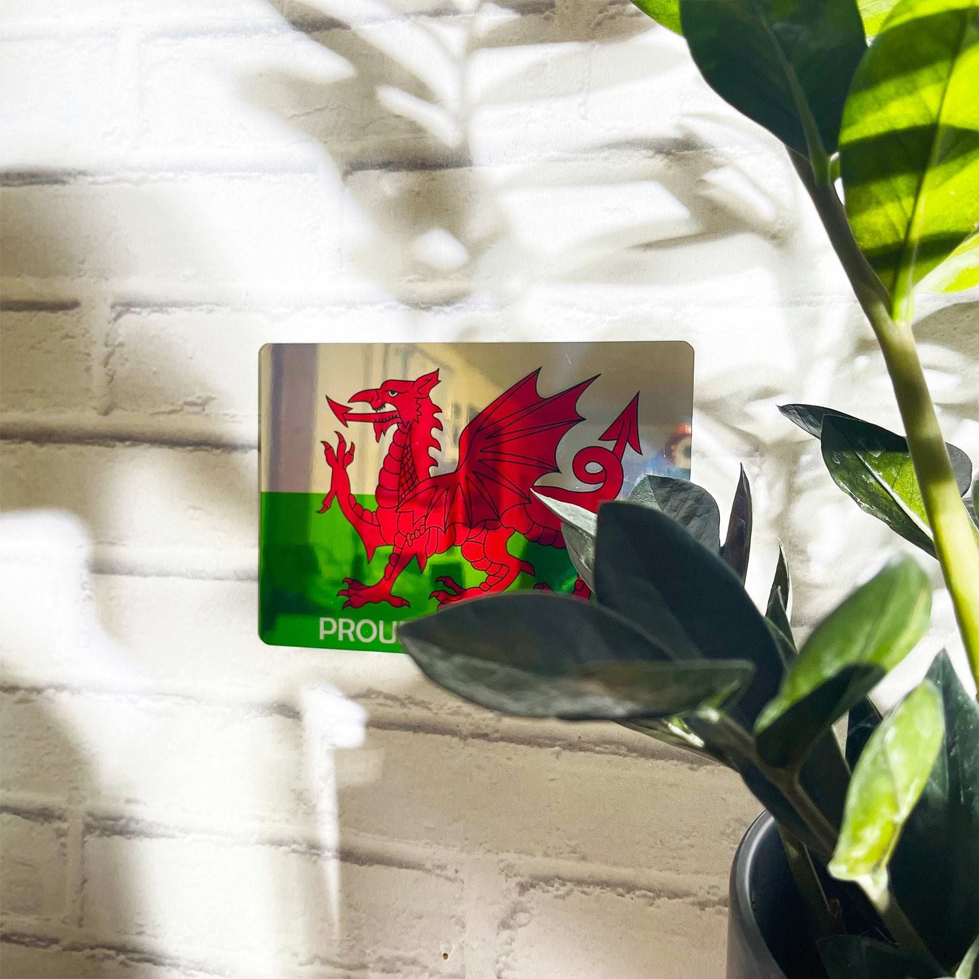 Proud to Be Welsh Mirror Metal Sign - shopquality4u